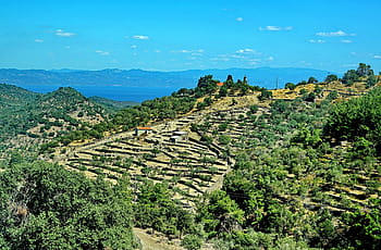 terrace cultivation, terrace, greece, greek, agriculture, landscape, farm, nature, travel, green, valley