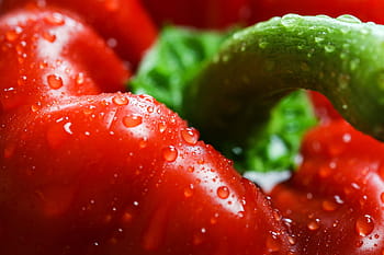 Červené, paprika, zavřít, červená paprika, kapky, zblízka, jídlo, foodie, čerstvý, zdraví, zdravý