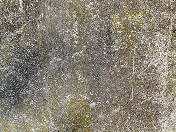 betonové zdi, Pozadí, struktura, textura, špinavý, zvětralý, trhliny, skvrny, uhrovitý, patina, mech