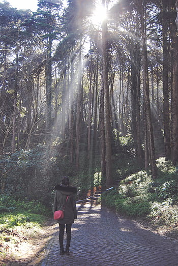 donna, in piedi, verde, albero delle foglie, giorno, persona, davanti, foresta, strada, sentiero, alberi