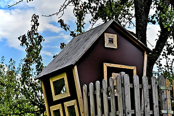 strom, Dům, dům na stromě, Domov, krajina, majetek, budova, architektura, obytný, vlastnictví, nebe