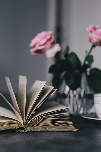 indah, mawar, buku, kopi, interior, istirahat, bersantai, penting, membaca, waktu, mawar merah muda