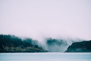 corpo, acqua, alberi, chiaro, lago, verde, albero, fotografia, paesaggio, natura, nebbia