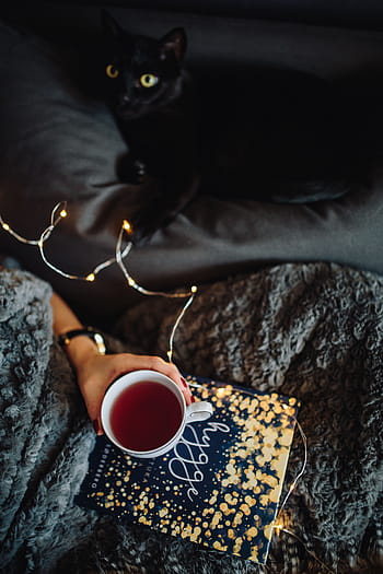 若い、 女性、 家、 hygge本を読んで、 飲んで、 家で、 読書、 Hygge、 本、 屋内、 フェミン