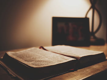 black, white, book, brown, wooden, table, bible, scripture, open book, open bible, christianity