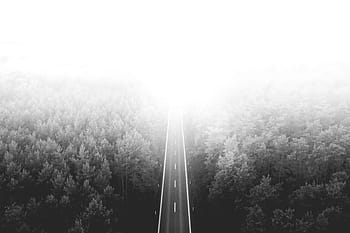 kesepian, jalan, Panjang, Jalan Sepi, Hutan, abstrak, udara, bw, fotografi drone, drone, berkabut