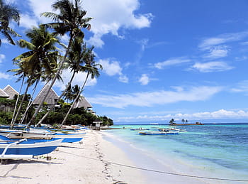 philippines, beach, holidays, the coast, boats, boat, a fishing village, ocean, bohol, palm trees, blue