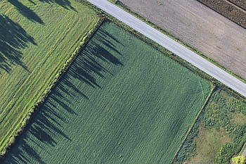 aerial, view, green, grass field, nature, grass, field, trees, shadow, road, travel
