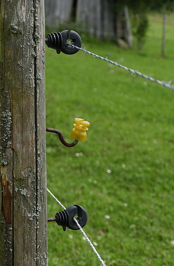 plot, izolační tyč, drát, pastviny krávy, pastvina, bariéra, elektrický plot, pošta, izolátory, Napětí, plotový systém