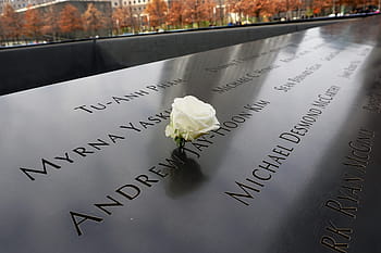 new york, new york, New York City, nyc, mrakodrap, New York, město, měst, Amerika, jedno centrum světového obchodu, 11. září památník, světové obchodní centrum