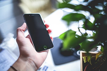 ruang iphone 6, hijau, daun, iPhone 6, Ruang, Abu-abu, Daun Hijau, iphone, kantor, telepon, Ponsel