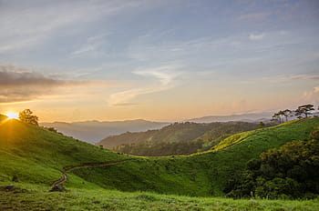 green, mountain, daytime, Sky, Tree, Night, Nature, Landscape, blue, light, star