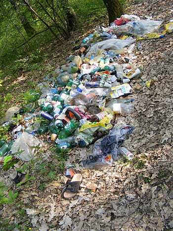ekologie, les, odpadky, zelená, recyklace, Příroda, životní prostředí, znečištění, otázky životního prostředí, ochrany životního prostředí, plastický