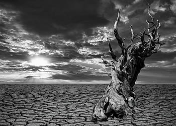drought, earth, dry, desert, nature, soil, texture, cracks, landscape, old, structure