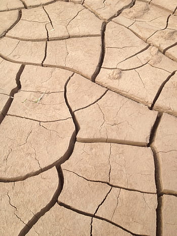 Earth, Loess, Cracking, the earth, shriveled, crack, drought, cracked, arid climate, land, desert