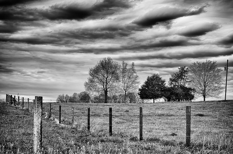 monochrome, black and white, landscape, rural, country, scenic, shack, barn, sky, trees, building