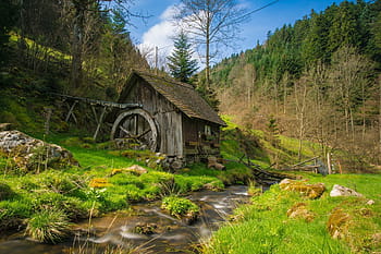 hnědý, dřevěný, Dům, vedle, jezero, obklopen, malování stromů, mlýn, Černý les, bach, voda