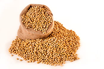 sack, brown, beans, soybeans, plants, seeds, bag, burlap, grain, oil, seed