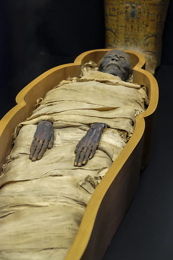 mummy in coffin, mummy, museum, egypt, vatican museum