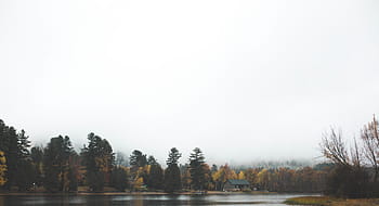 foto di paesaggio, fiume, verde, alberi, accanto, prato, pianta, natura, autunno, Casa, lago