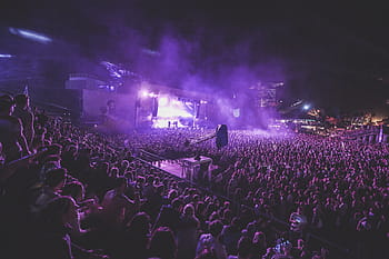 žít, koncert, noční dobu, temný, noc, večírek, výkon, etapa, lidé, muž, žena