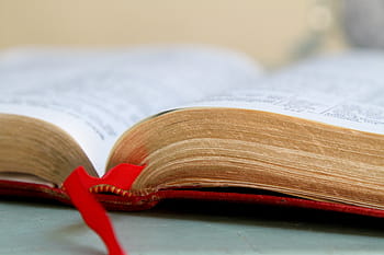 half, open, book, gray, surface, bible, religion, christianity, holy, text, god