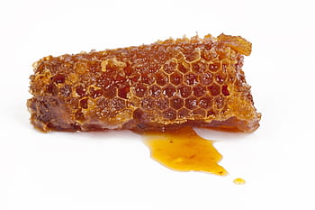 bal peteği, bal, bal arısı, doğa, tozlaşma, arıcılık, makro, altıgen, tatlı, propolis, Beyaz arkaplan