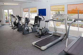 šedý běžecký pás, zdatnost, studio, ergo, trenér, běžecký pás, fitness studio, ergo trenér, závodní dráha, sport, cvičení