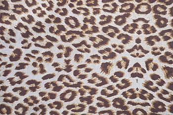 Černá, hnědý, textilní leopard, puntíkovaný, tkanina, textil, abstraktní vzor, živé barvy, fotografování, makro, detail