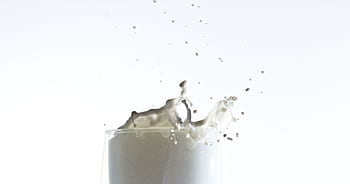 latte, spruzzo, salutare, bicchiere, bianca, cibo, fresco, delizioso, mangiare, bere, gocciolare