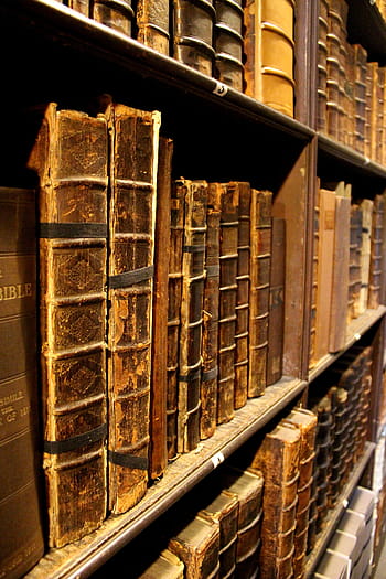 hnědý, hardbound, kniha šarže, knih, regál, knihovna, čtení, vinobraní, starý, učení se, police