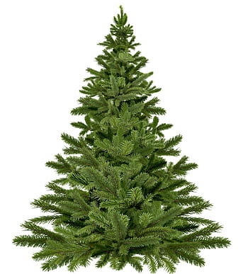green, pre, lit, tree, christmas tree christmas, christmas, pine, happy holidays, twigs, needle, holidays