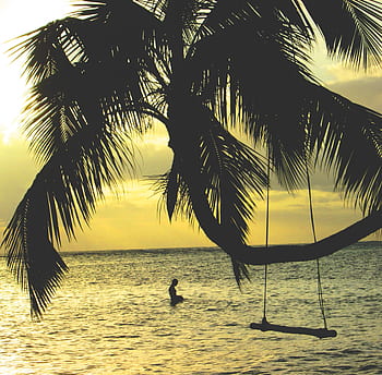 palmbomen, schommel, oceaan, zee, water, strand, tropisch, vakantie, zwemmen, zonsondergang, schemer