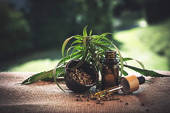 cbd, konopí, cbd olej, konopný olej, marihuana, plevel, kanabinoid, olej, zdraví, thc, lékařský