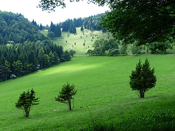 balingen alb, swabian alb, idyll, reported, forests, sky, clouds, punch, zollernalb, mountain, alb eaves