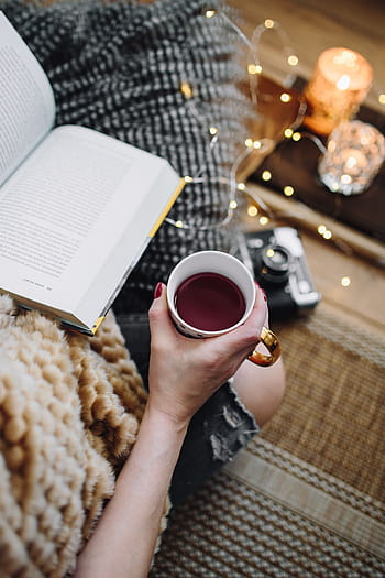 お茶を飲む女性、 本を読む、 女性、 飲む、 お茶、 家、 本、 読書、 時間、 枕、 快適