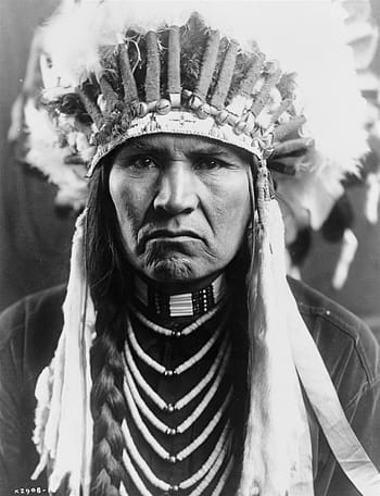 person, brown, head dress, historical, vintage, sioux, indian, american, chief, lifestyle, tradition