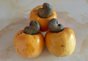 cashew, fruit, cashew fruit, cashew nut, food, healthy, organic, ingredient, snack, raw, natural