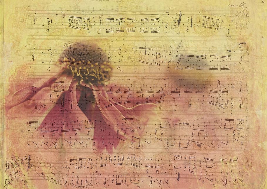 noty list, textura, Pozadí, papír, květ, notenblatt, papírnictví, vzor, vinobraní, starý papír, nostalgie