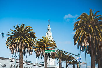 telapak tangan washington street, Washington Street, Palms, San Francisco, kota besar, california, kota, rute evakuasi, pelabuhan san francisco, jalan, sf
