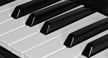 closeup, piano, key, keyboard, keys, music, instrument, black, white, piano keys, piano keyboard