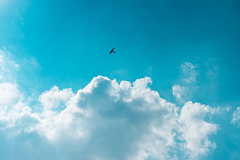 sedikit, pesawat, Awan, pesawat terbang, biru, penerbangan, minimalis, langit, transportasi, alam, awan - Langit