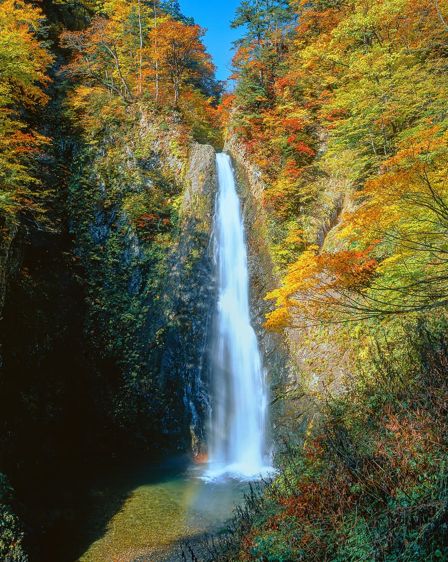 paisaje, cascada, otoño, hojas otoñales, la puerta oscura de la segunda cascada, shirakami-sanchi, región del patrimonio mundial, japón