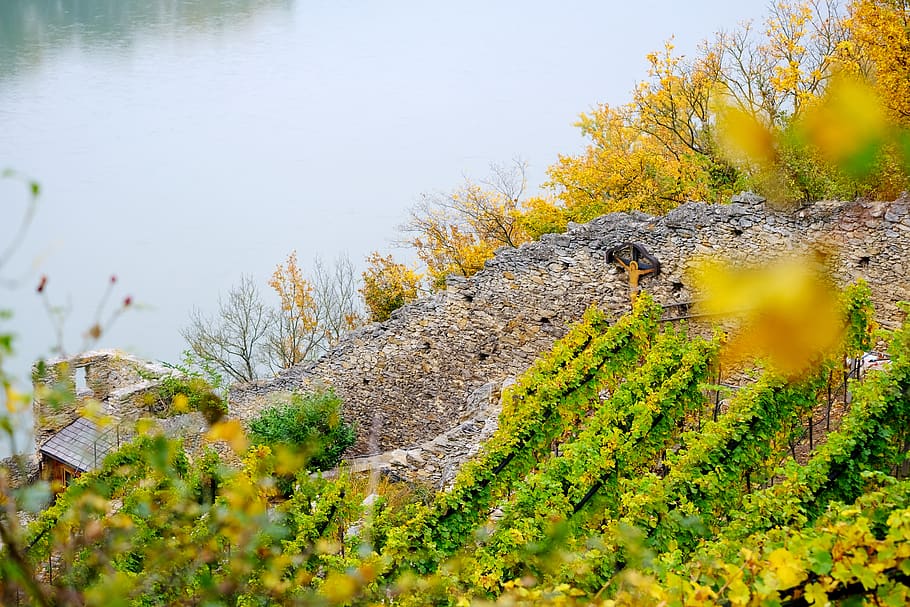 vineyard, vines, nature, wine, winegrowing, vine, cross, protection cross, wall, stone wall, old