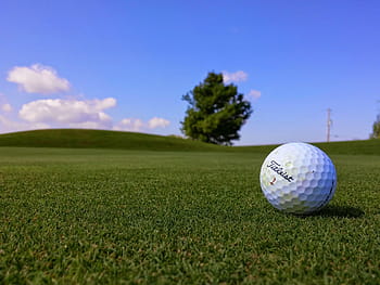 golf ball, grass, white, golf, ball, green, field, Titleist, sports, fun, blue
