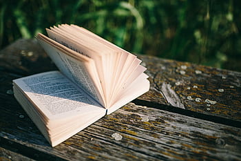 verão, descansando, livro, relaxante, tempo, livro de leitura, noite, hora mágica, livro aberto, Leitura, lago