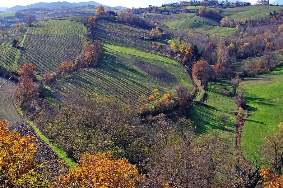 langhirano, parma, emilia romagna, Itálie, vinice, kopce langhirano, parma kopce, kampaň, podzim