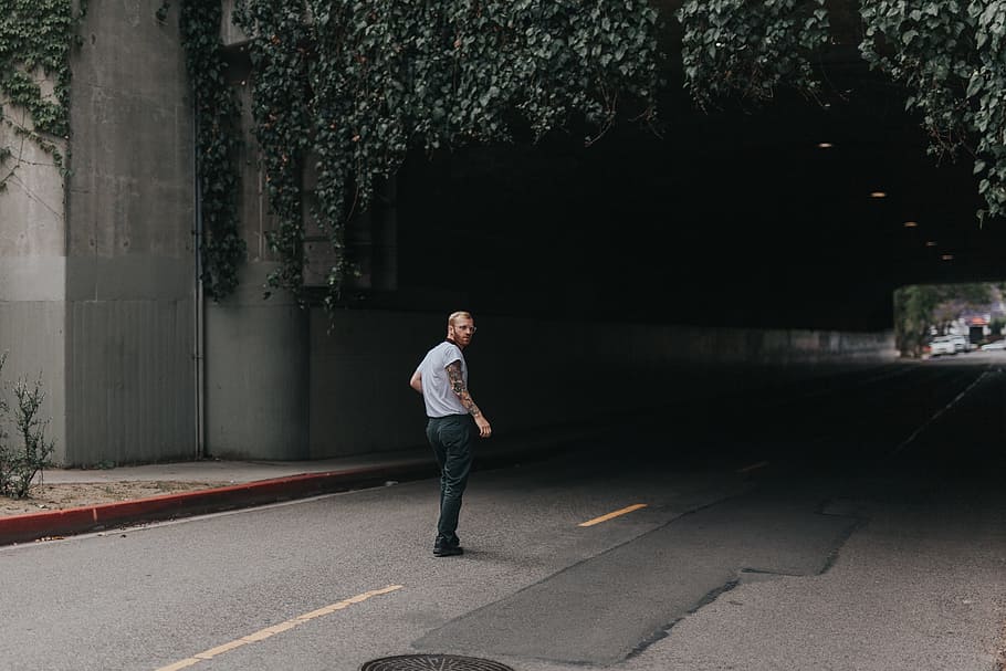 people, man, walking, alone, road, dark, tunnel, vine, plants, nature