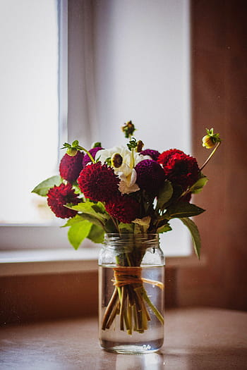 mazzo, rosso, viola, fiori, chiaro, vaso di vetro muratore vaso, bianca, petali, fiore, preparativi, bicchiere