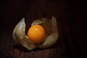 Physalis, physalis peruviana, มะเฟืองแหลม, แอนดีสเชอร์รี่, แอนดีสเบอร์รี่, เชอร์รี่ฟอง, ส้ม, ผลไม้, หวาน, อาหาร, เครื่องประดับ